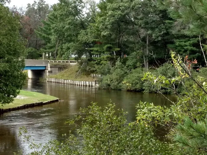 Manistee River Bridge State Forest Campground Picture 5