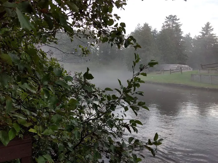 Manistee River Bridge State Forest Campground Picture 4