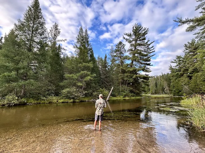 Manistee River Bridge State Forest Campground Picture 9