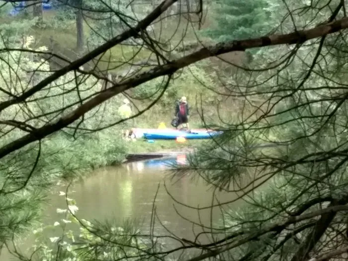 Manistee River Bridge State Forest Campground Picture 10