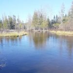 Upper Manistee River State Forest Campground