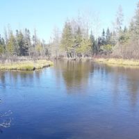 Upper Manistee River State Forest Campground ico