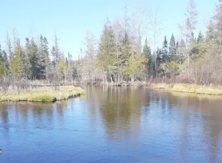 Upper Manistee River State Forest Campground