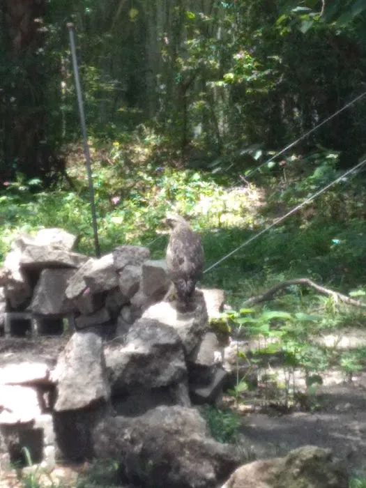 Sunny Oaks Picture 1
