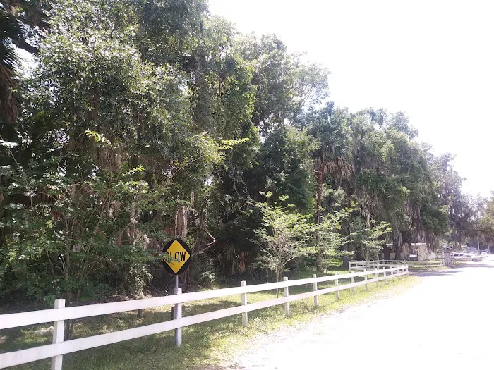 Sunny Oaks Picture 5