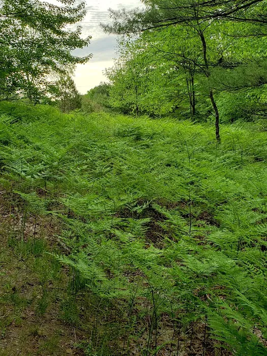 Kalkaska RV Park & Campground Picture 6