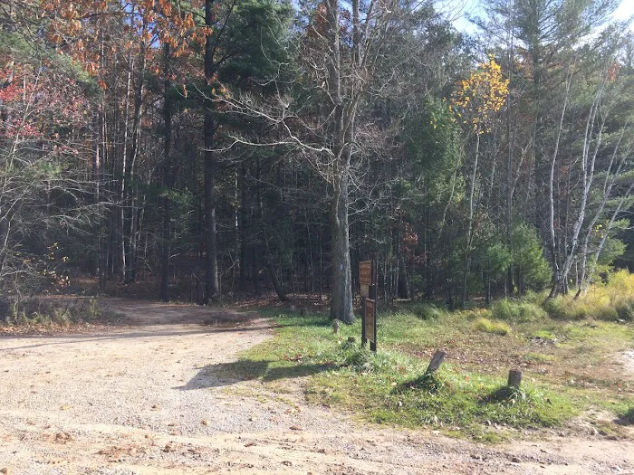 Guernsey Lake Campground Picture 2