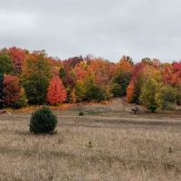 OffBeat Acres - Camp Chill AF! ico