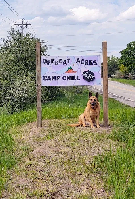 OffBeat Acres - Camp Chill AF! Picture 8