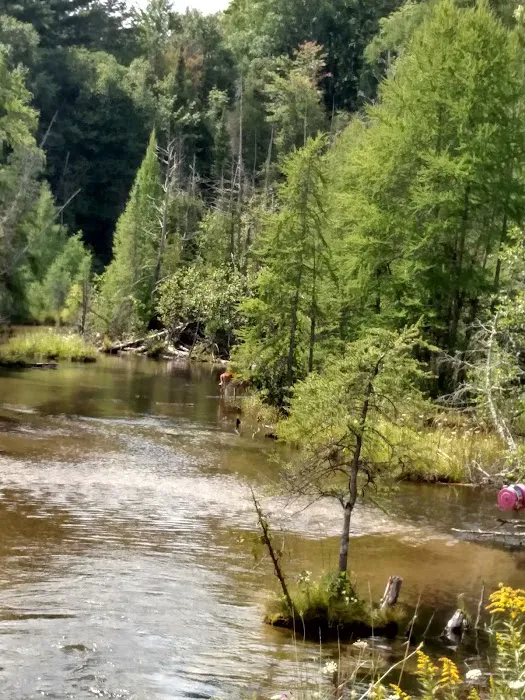 Rapid River Campground & Cabins Picture 9