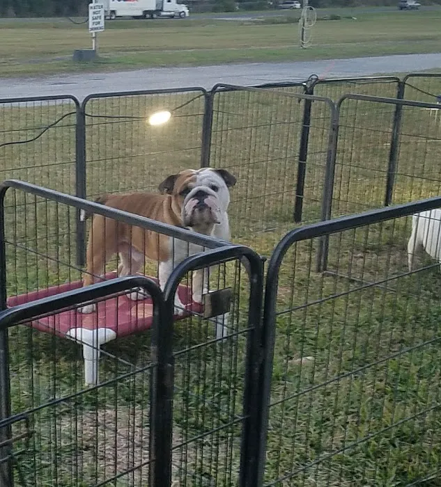 Wandering Oaks RV Park Picture 1