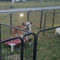 Wandering Oaks RV Park ico
