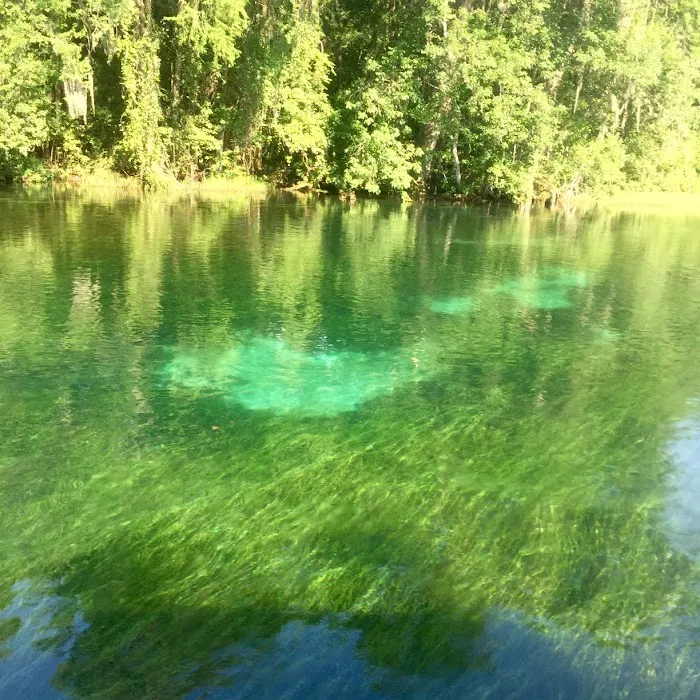 Camp Seminole Springs Picture 7