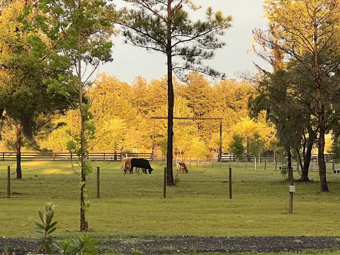 Trails End Outdoors RV Park & Cabins Picture 3