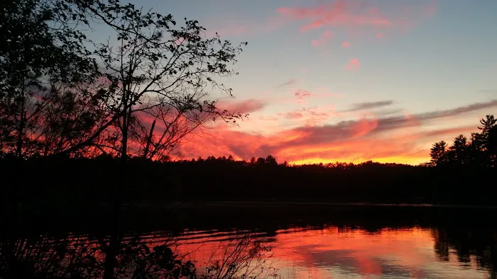 Little Wolf Lake State Campground Picture 4