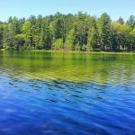 Little Wolf Lake State Campground