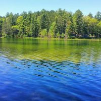 Little Wolf Lake State Campground ico