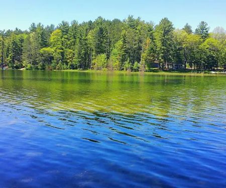 Little Wolf Lake State Campground