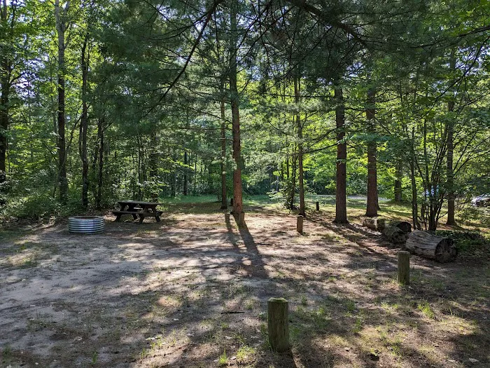 Lake Marjory State Forest Campground Picture 5