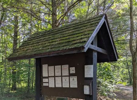 Lake Marjory State Forest Campground