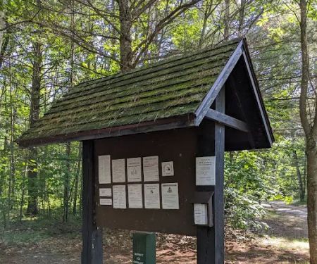 Lake Marjory State Forest Campground