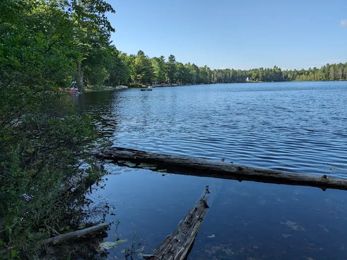 Lake Marjory State Forest Campground Picture 7