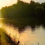 Bee Run Rv Park