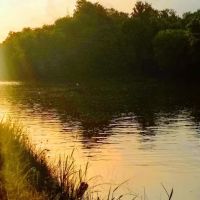 Bee Run Rv Park ico
