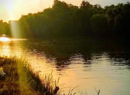 Bee Run Rv Park