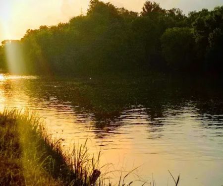 Bee Run Rv Park