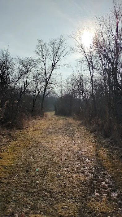 Goodenow Grove Nature Preserve Camping Pod Picture 4