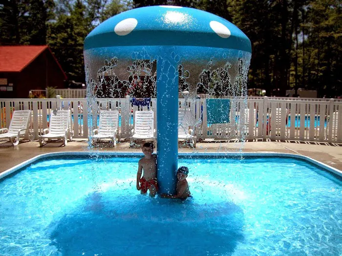 Dune Town Camp-Resort (formerly Yogi Bear's Jellystone Park) Picture 4