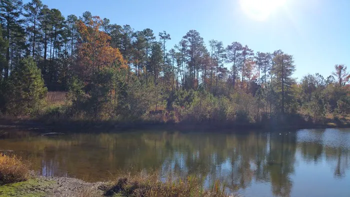 Owassa Lakeside RV Picture 10