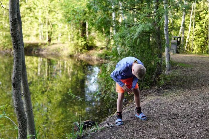 Kibby Creek Campground, Ludington, MI Picture 9
