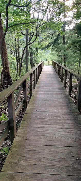 Whispering Surf Campground at Bass Lake Picture 2