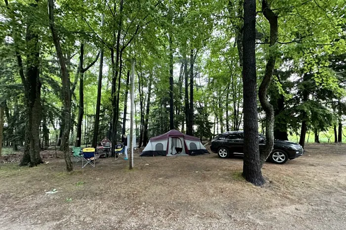Whispering Surf Campground at Bass Lake Picture 5
