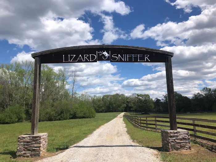 Lizardsniffer Picture 2