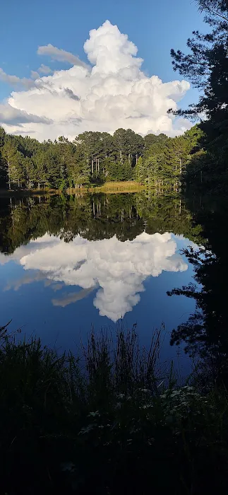 FireFly Farm and Camp Picture 3