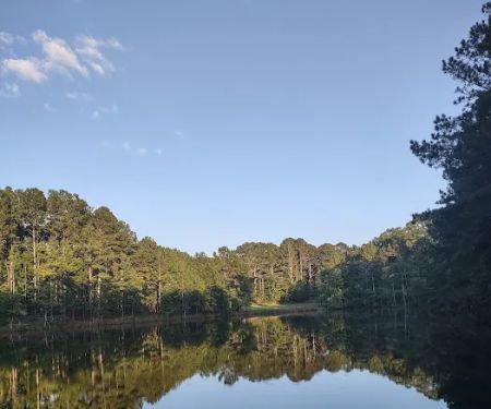 FireFly Farm and Camp
