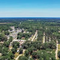 Forest Acres ico