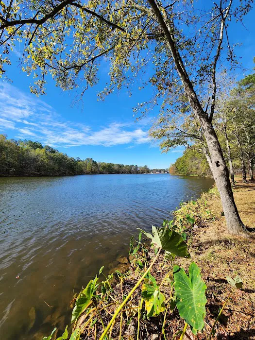 Parks Ferry Public Recreation Area Picture 6