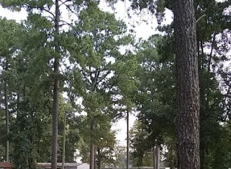 Brantley Mobile Home Park