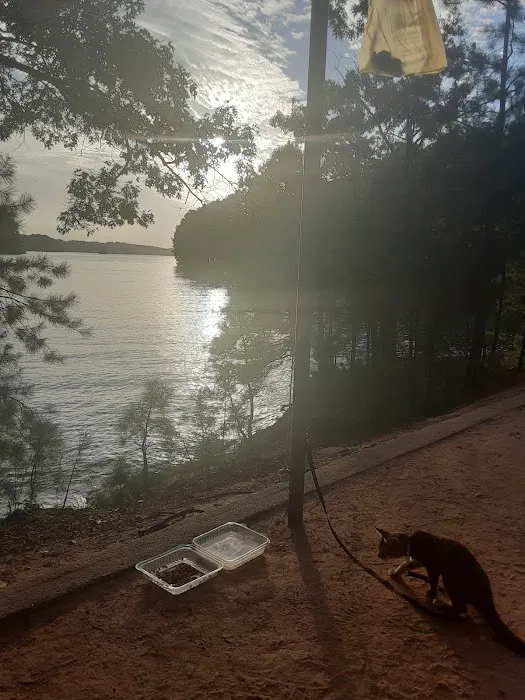 Duckett Mill Campground Picture 10