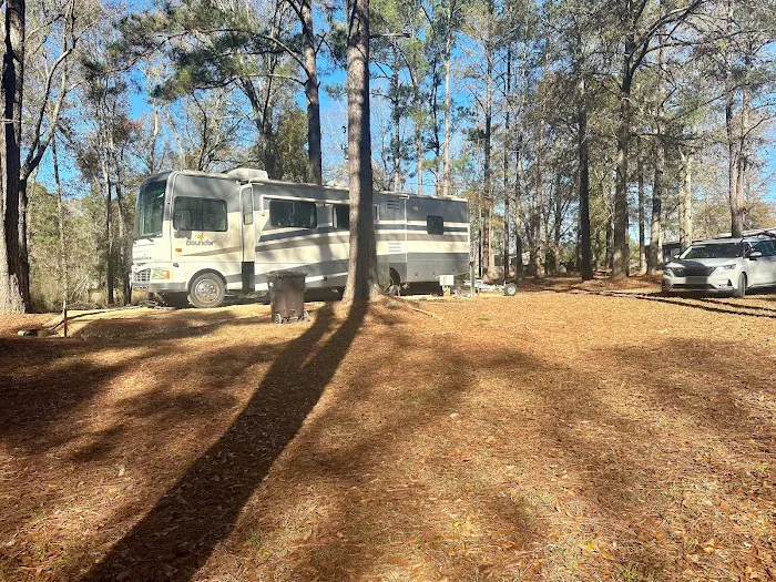 Clearwater RV & Mobile Home Park Picture 2