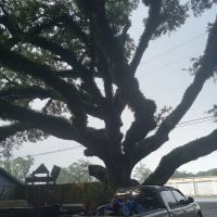 Dubuisson Trailer Park ico