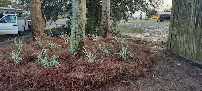 anderson trailer park Picture 4