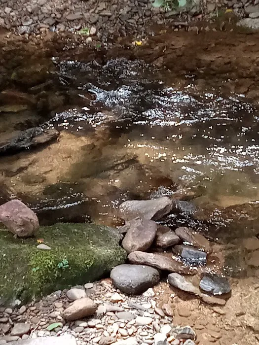 Mountain View Campground Picture 1