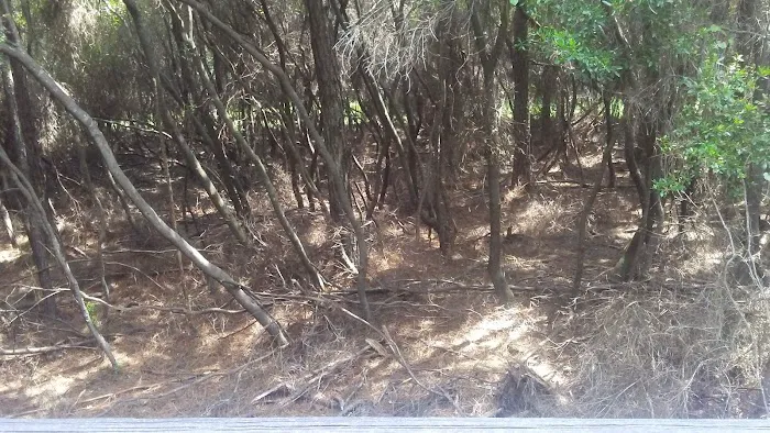 Oakstead Mobile Home Park Picture 3