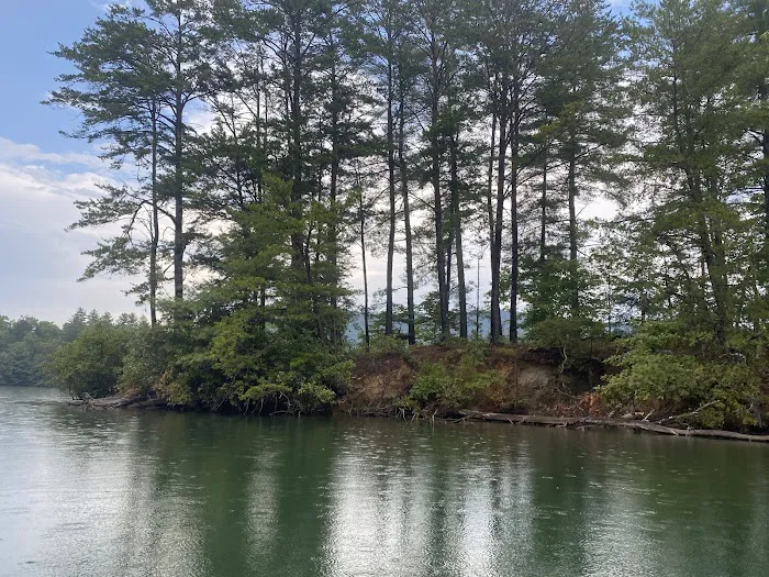 Snowbird Creek Campsite Picture 4