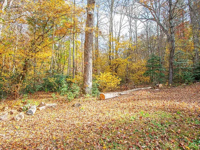Private RV lot for rent Picture 5